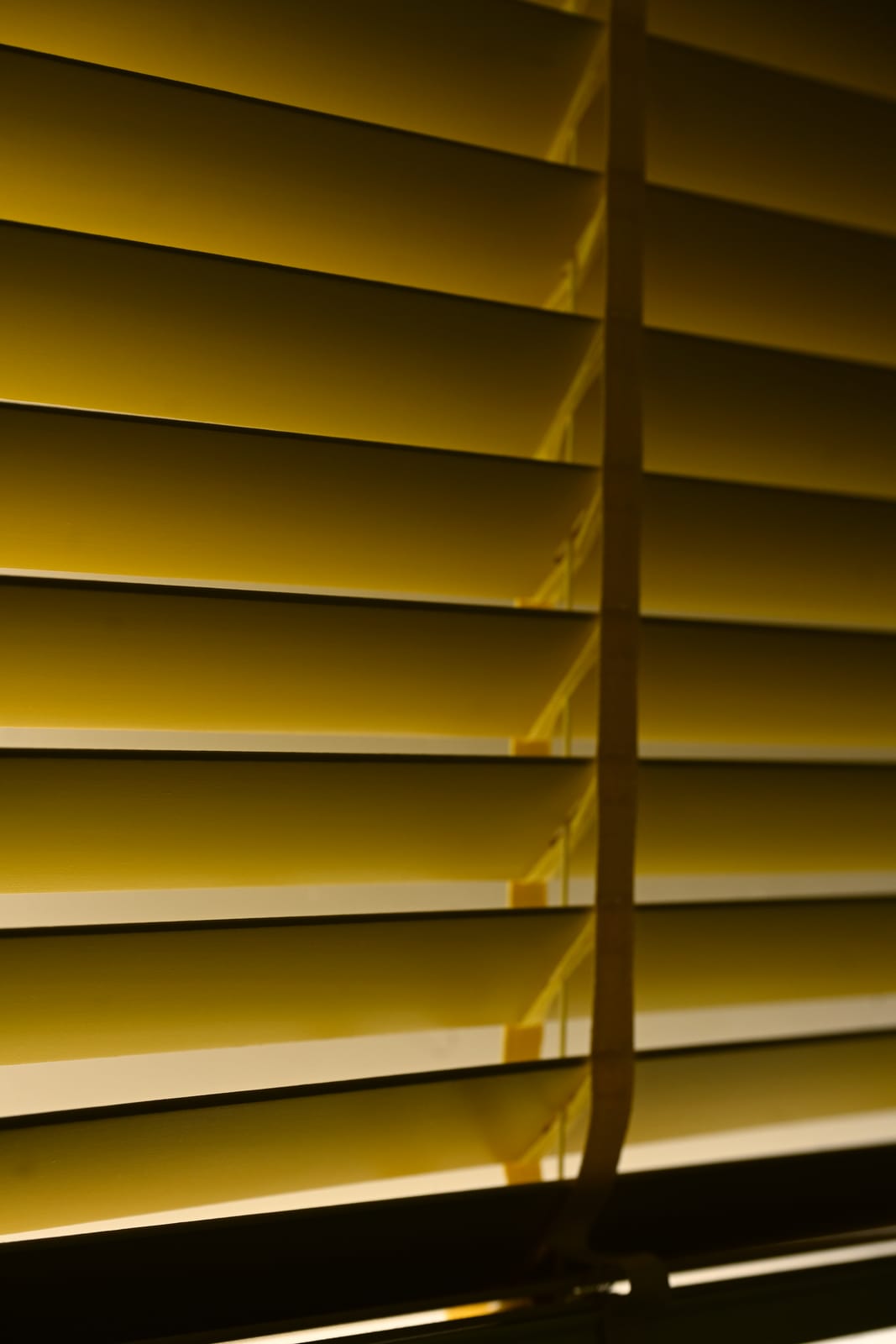 Fabric Blinds — image 6