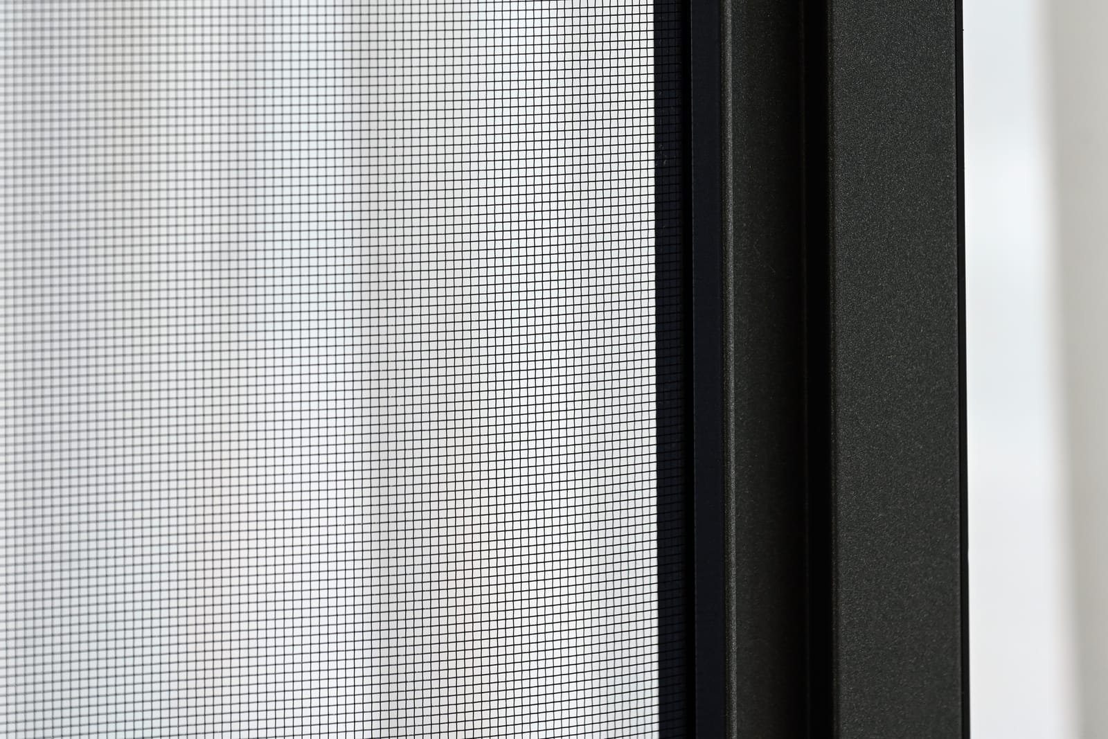 Mosquito Screen — image 2
