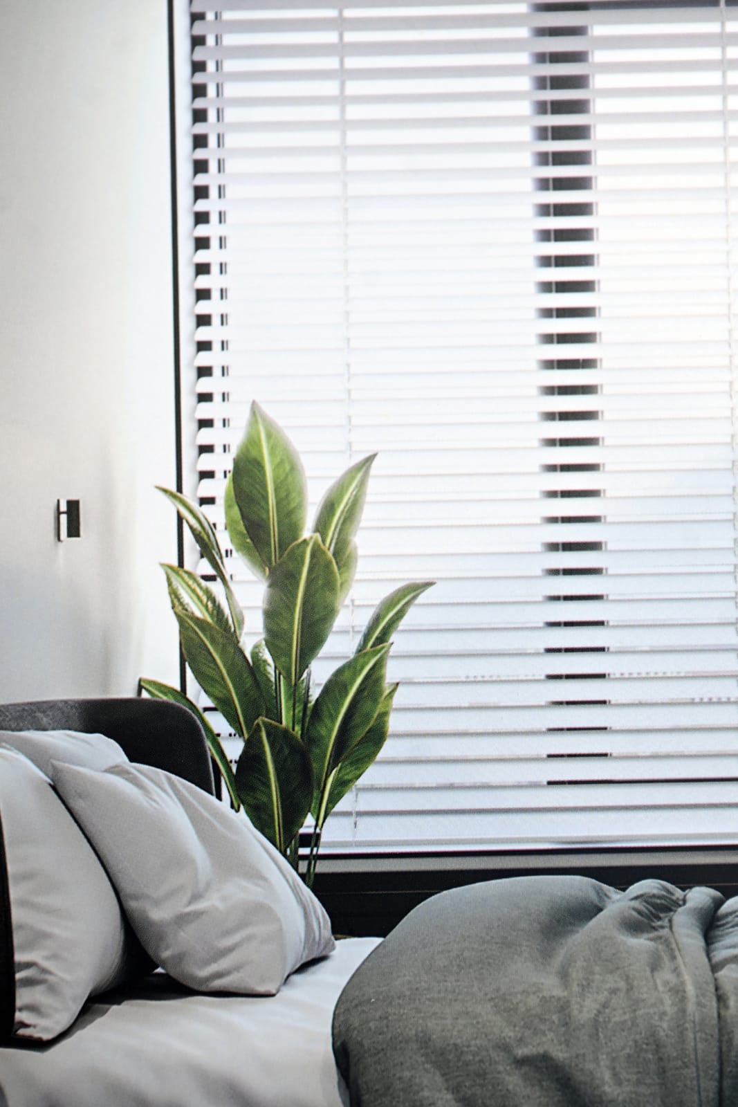 Specialty Blinds