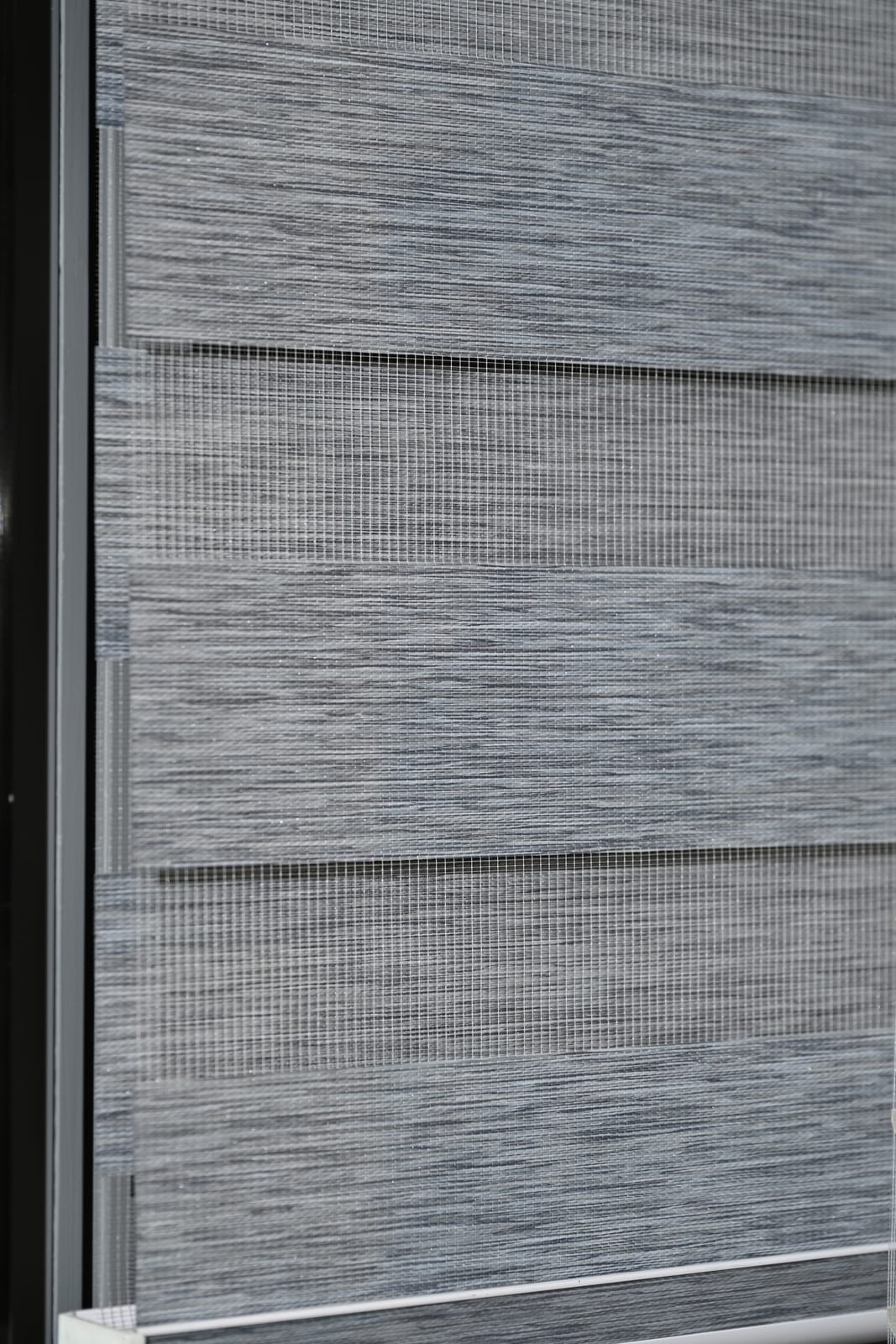 Zebra Blinds