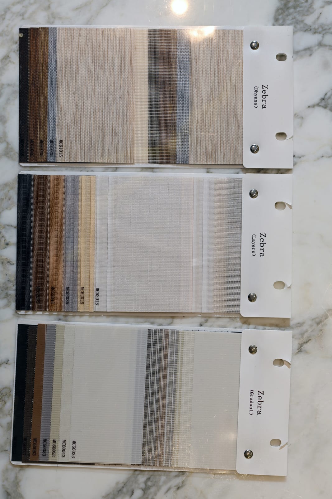 Zebra Blinds — image 3